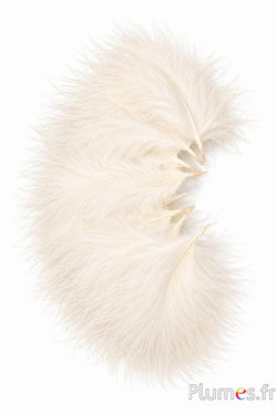 Tacchino marabù - 8-12 cm - crema